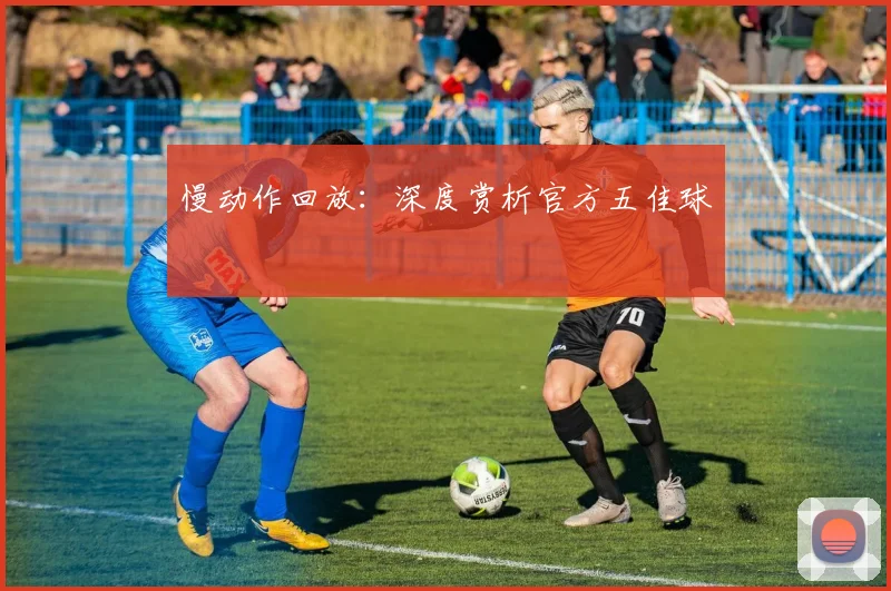 慢动作回放:深度赏析官方五佳球