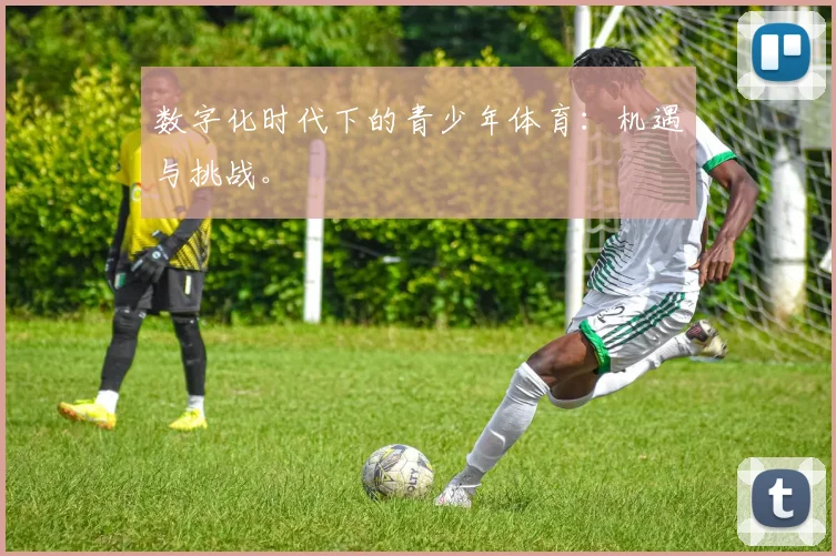 数字化时代下的青少年体育:机遇与挑战。