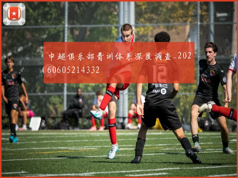 中超俱乐部青训体系深度调查_20260605214332