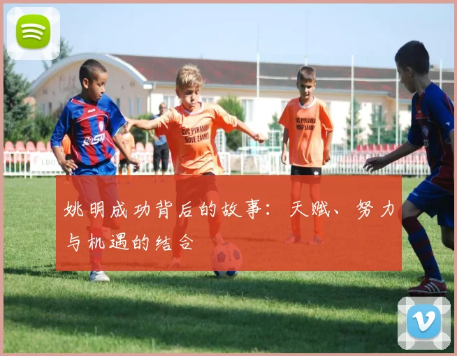 姚明成功背后的故事:天赋、努力与机遇的结合