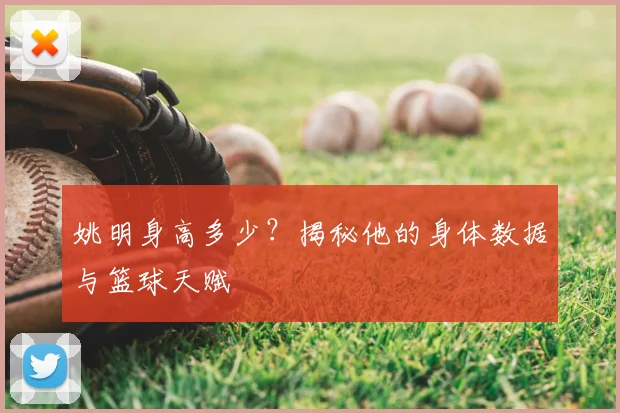 姚明身高多少?揭秘他的身体数据与篮球天赋