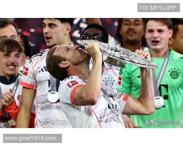 汉堡队势头如虹,冲超呼声高涨 汉堡队势头如虹,冲超呼声高涨